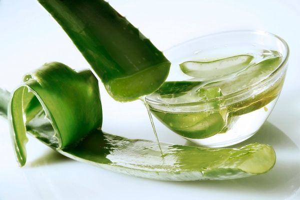 Ultimate_Aloe's tweet photo. Global Aloe Vera Extracts Market Growth Trends, SWOT Analysis, Sales Channels, Future Study To 2027 - The Industry Herald (blog) https://t.co/5xRwoKfOc5 https://t.co/qeR0VNn7f2