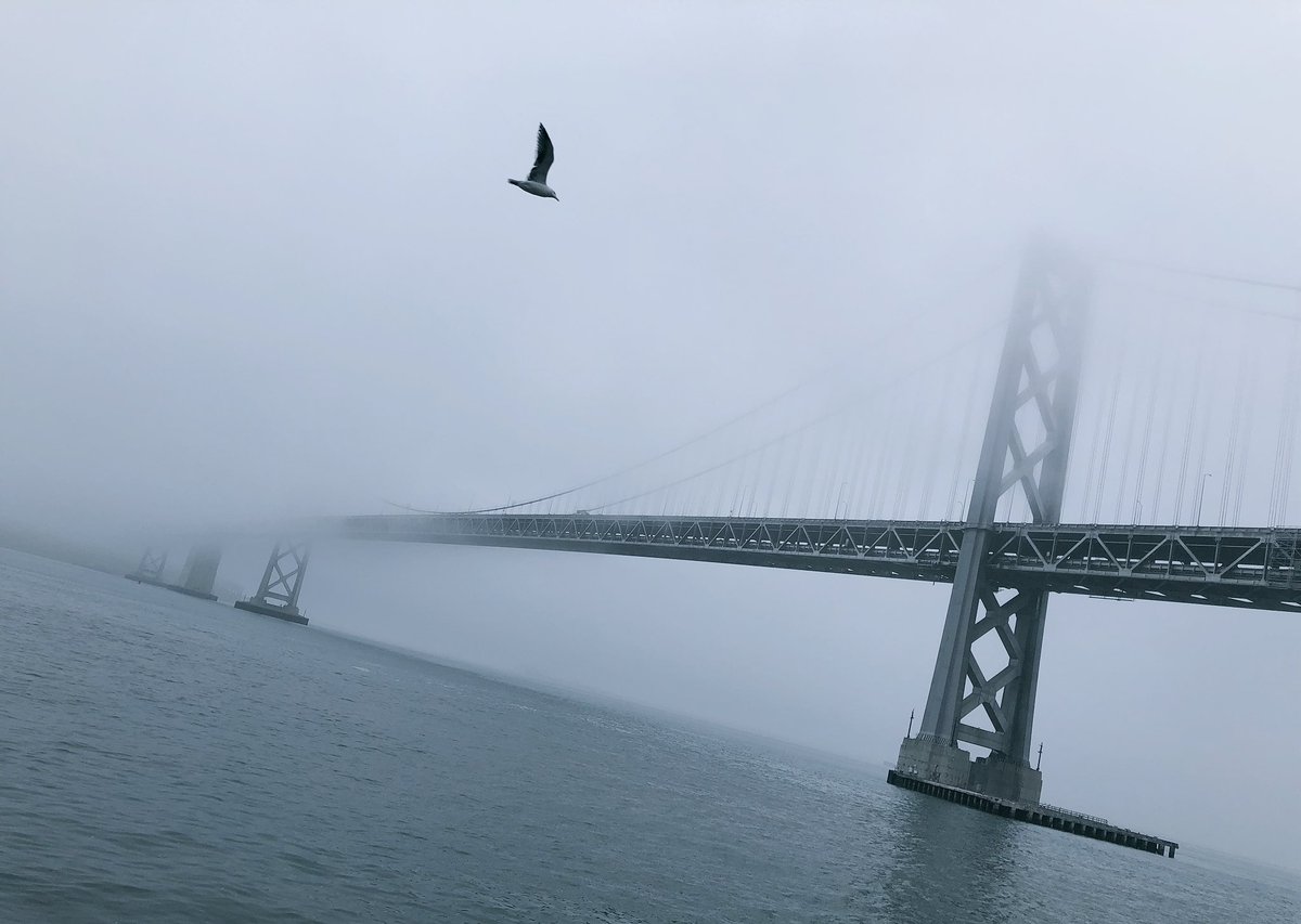 KarlTheFog's tweet image. Good morning from San Francisco where we have beautiful weather all year round