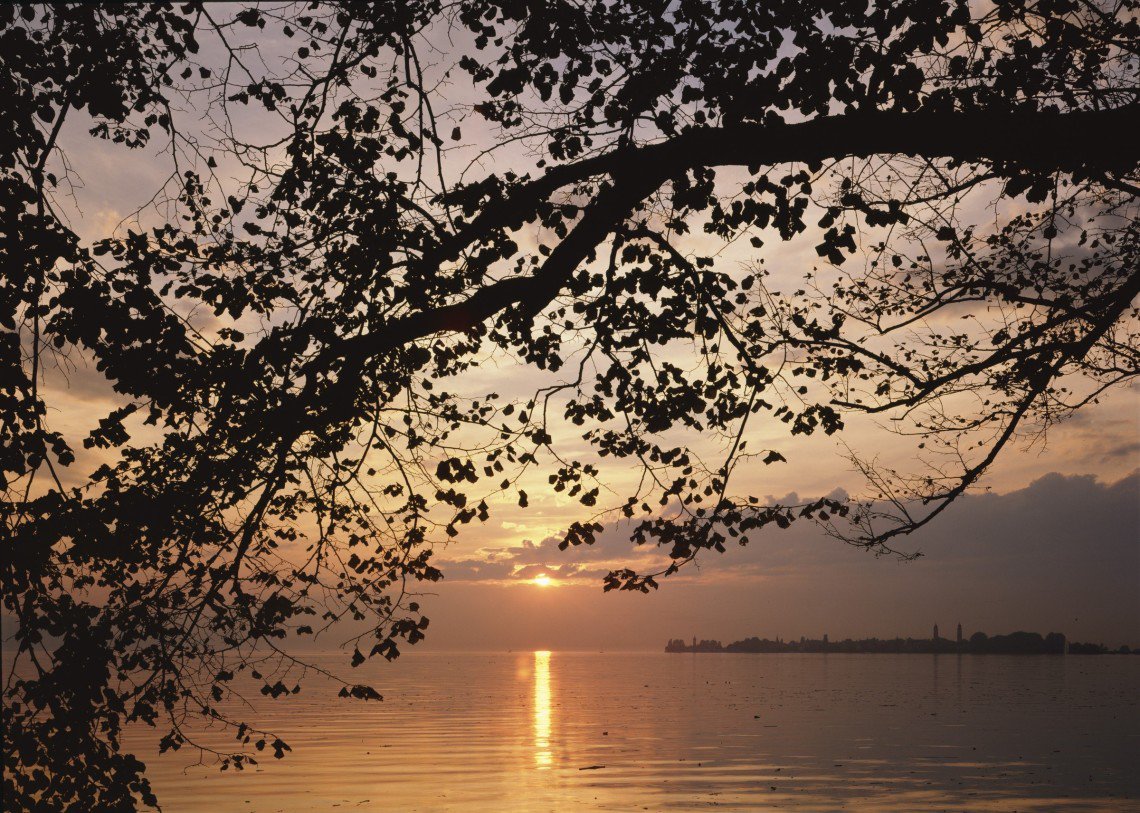 BlackstarCorne1's tweet image. &quot;Sunsets are so beautiful that they almost seem as if we were looking through the gates of Heaven.&quot;

John Lubbock

📷Toni Schneiders