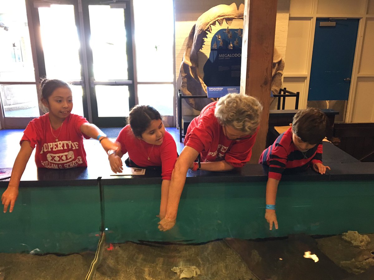 mwhiteEDU's tweet image. Exploring! @MaritimeAqua