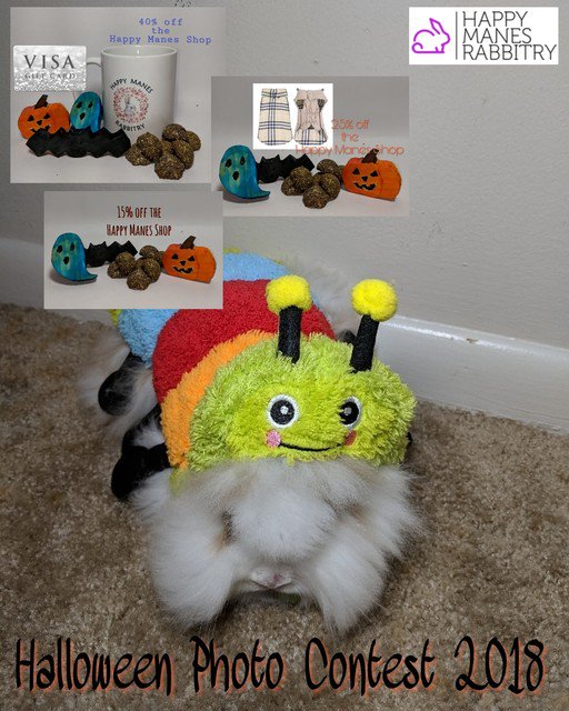 HappyManes8's tweet photo. Enter the Halloween Photo Contest for a chance to win some awesome prizes!
Check out our Bunny Blog for more info!
#rabbits #bunnies #pets #cuteanimals #Halloween2018 https://t.co/vl4uBXykYw