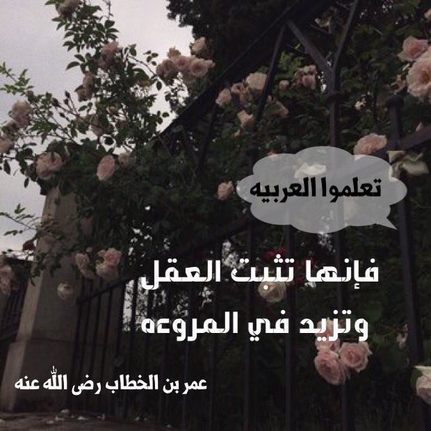 Taif_Reading's tweet photo. • اعلم أنّ اعتياد اللغة يؤثر في العقلِ والخلقِ والدينِ تأثيراً قويّاً بيّناً، ويؤثر أيضاً في مشابهةِ صدرِ هذه الأمّةِ من الصحابةِ والتابعين، ومشابهتهم تزيد ��لعقلَ والدينَ والخلقَ، 
.
#يا_امه_الضاد_لغتكم #الطايف https://t.co/AtNoQ2oU3k
