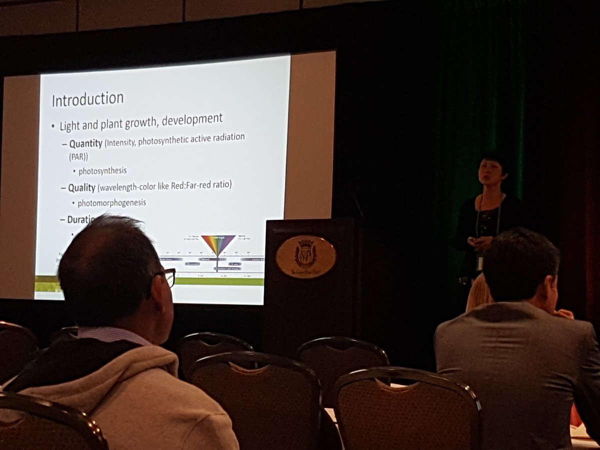 T1Heidecker's tweet photo. @YuanHaiying talking about her lentils under light quality treatments - AGILE project #CPRW18 @WildLentils https://t.co/HbAbCadkZp