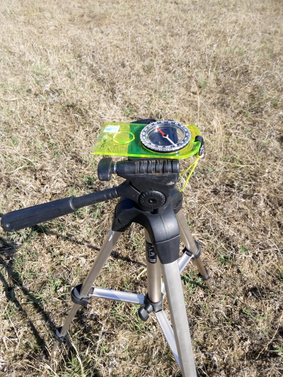 SynerTGE's tweet photo. Collaborative field campaign between @indehesa (UEx), @maxplanckpress, @CeamFundacion, Speclab-@CSIC for structural measurements of tree canopy at Majadas research station. https://t.co/Y45y5Lkdu2