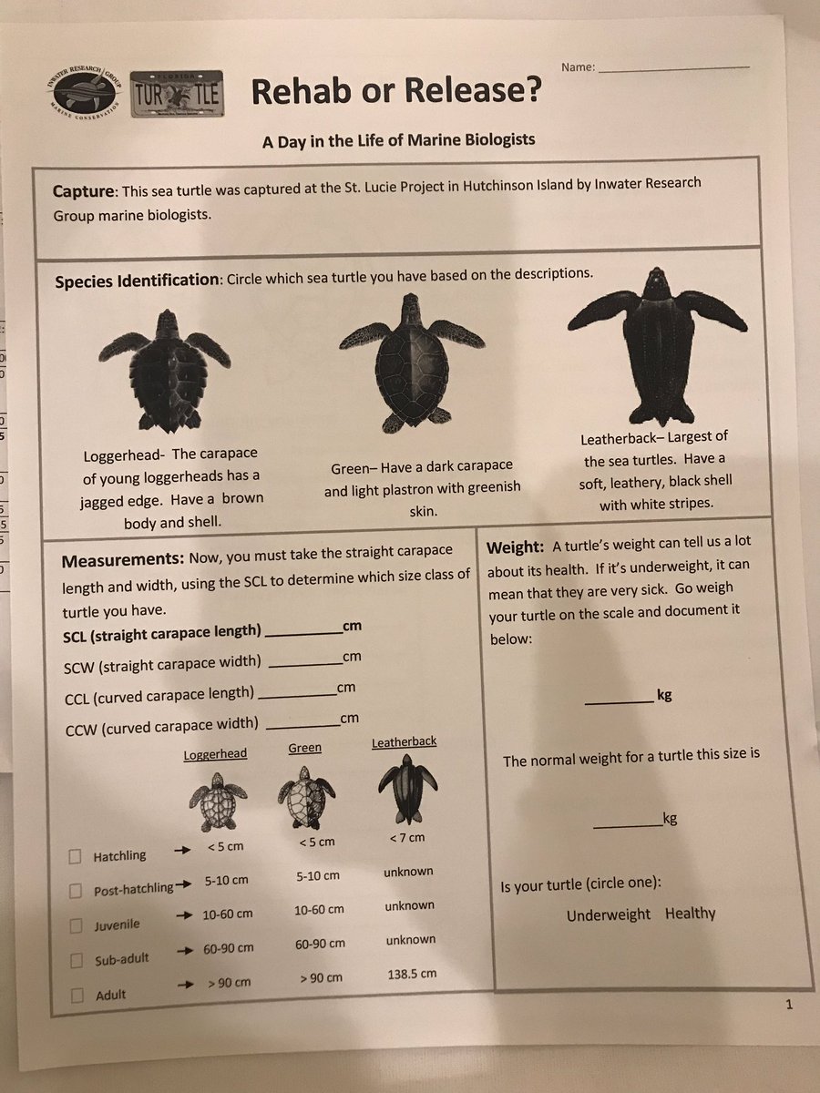 BranchBeth's tweet photo. Being a marine biologist for a minute today!#FASS2018 #inwateresearch https://t.co/0o5xHQKTOh