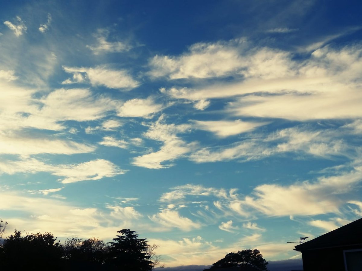 SweetWilliamsEm's tweet image. Gorgeous sky over #Cardiff this afternoon. I bet sunset will be a spectacular.