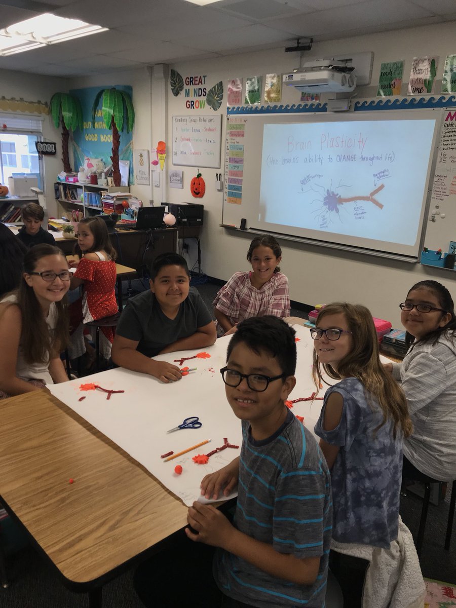 mrskcannon's tweet photo. Learning more about our brains! #brainplasticity #growthmindset #neurons #gopanthers 💪🏼🧠 https://t.co/BUAZTJ0AJS