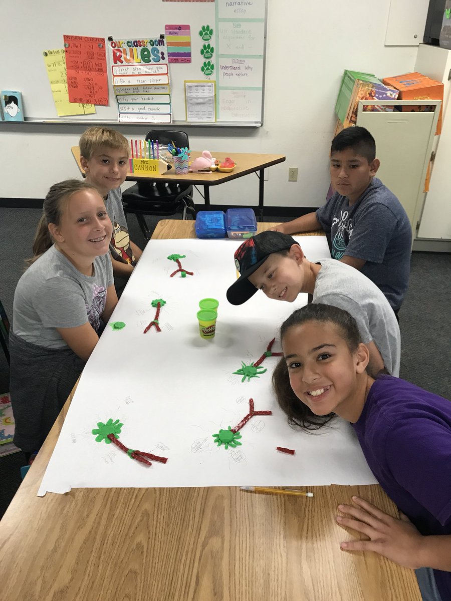 mrskcannon's tweet photo. Learning more about our brains! #brainplasticity #growthmindset #neurons #gopanthers 💪🏼🧠 https://t.co/BUAZTJ0AJS