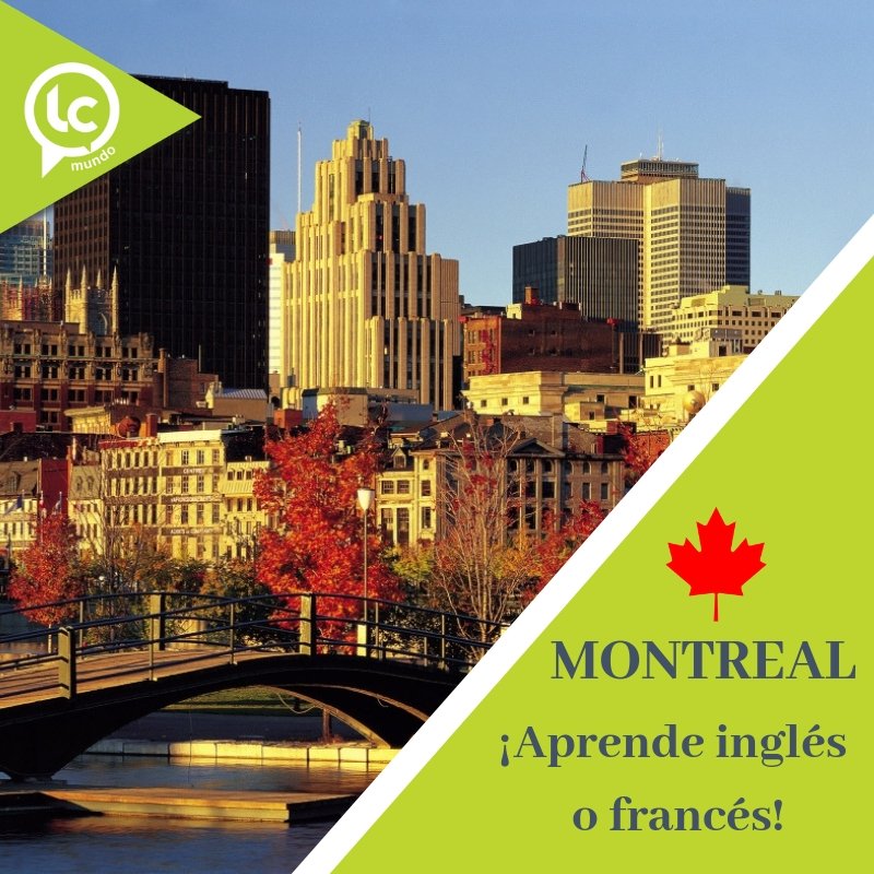 lcmundo's tweet image. ¿Inglés o francés? 🇨🇦

Ambos idiomas son oficiales en la provincia de #Quebec, y en #Montreal contamos con escuelas afiliadas, como ALI; Académie Linguistique Internationale, para programas de cualquier nivel, pre college o certificaciones. #LCmundo #YourFutureOurPassion