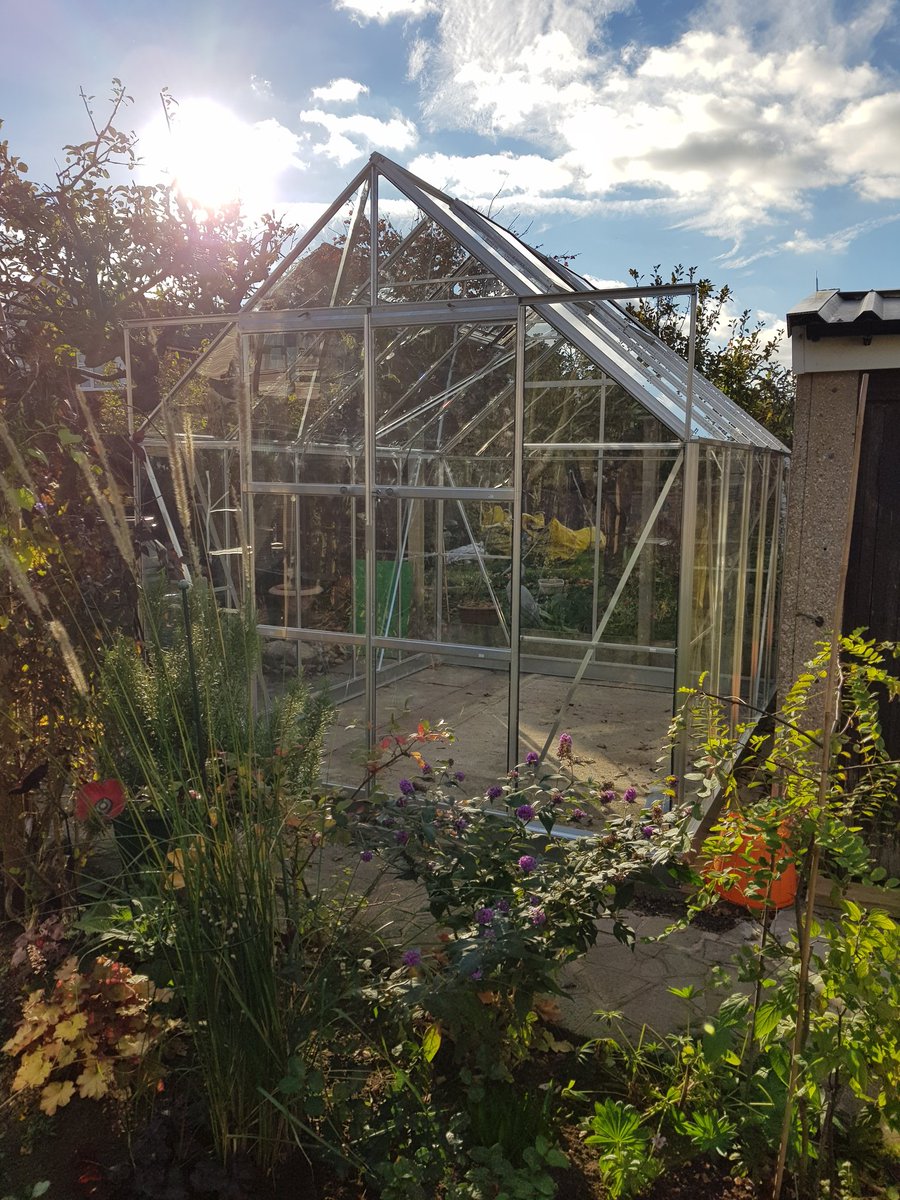 Steve Greenhouses Cornwall (greenhouseup) Twitter