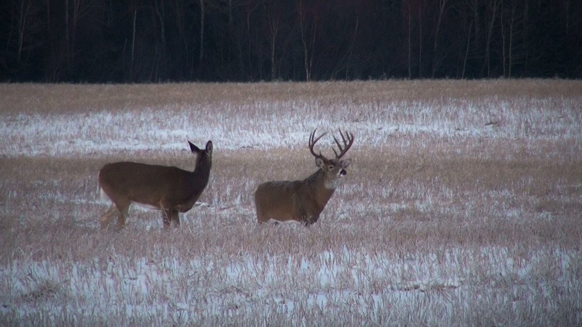 That’s a beautiful sight. #huntpure