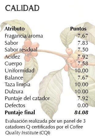 cafedlbosque's tweet photo. Para poder ser denominado #caféDeEspecialidad el aromático debe someterse al protocolo establecido por la Asociación @SpecialtyCoffee donde un panel de tres Catadores Q evalúan varios atributos.
#SCAprotocol
#Qgrader
#coffeeQuality
#calidad
#ceroDefectos
#elCaféEsUnaFruta https://t.co/samHqrHeMd