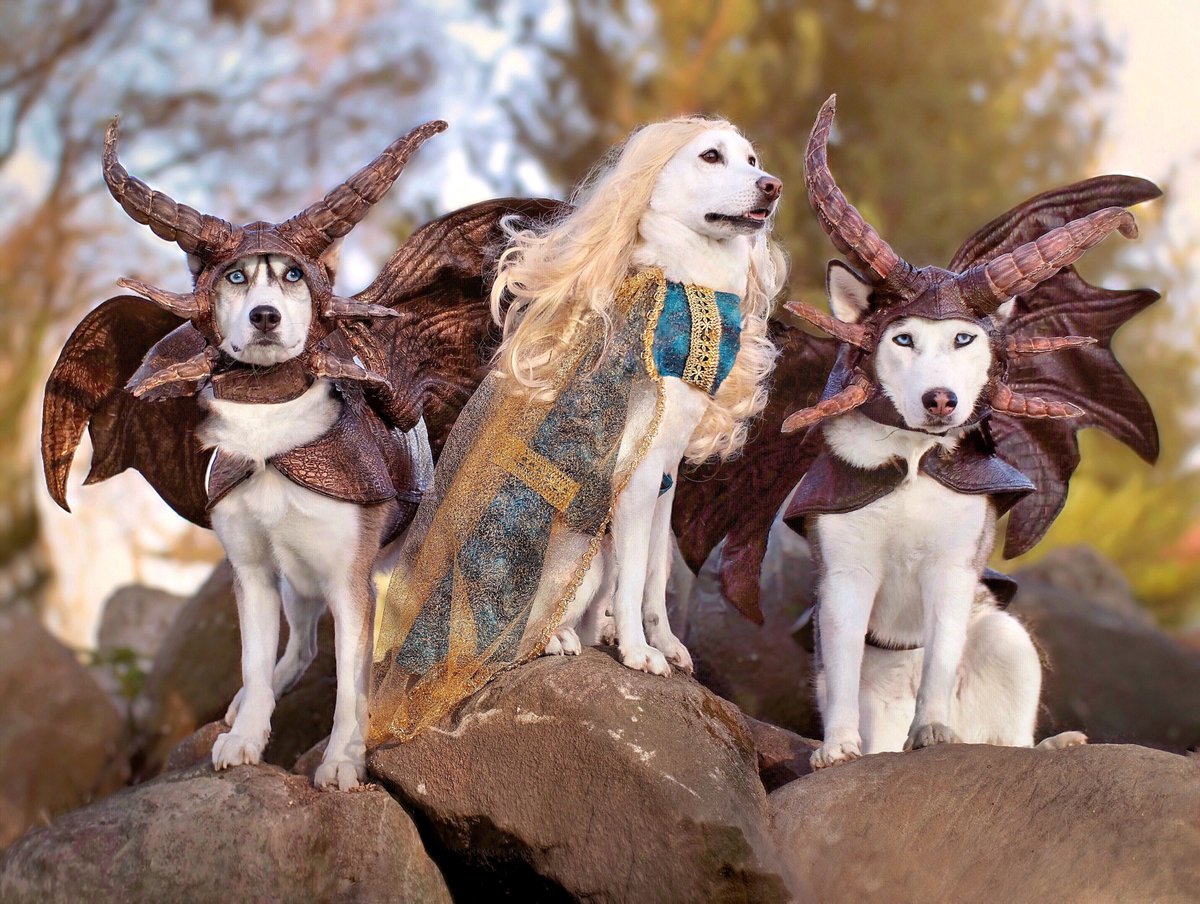 2Husketeers's tweet image. Nika, Kira, and Hoya
Game of Thrones
#blogpawshalloween