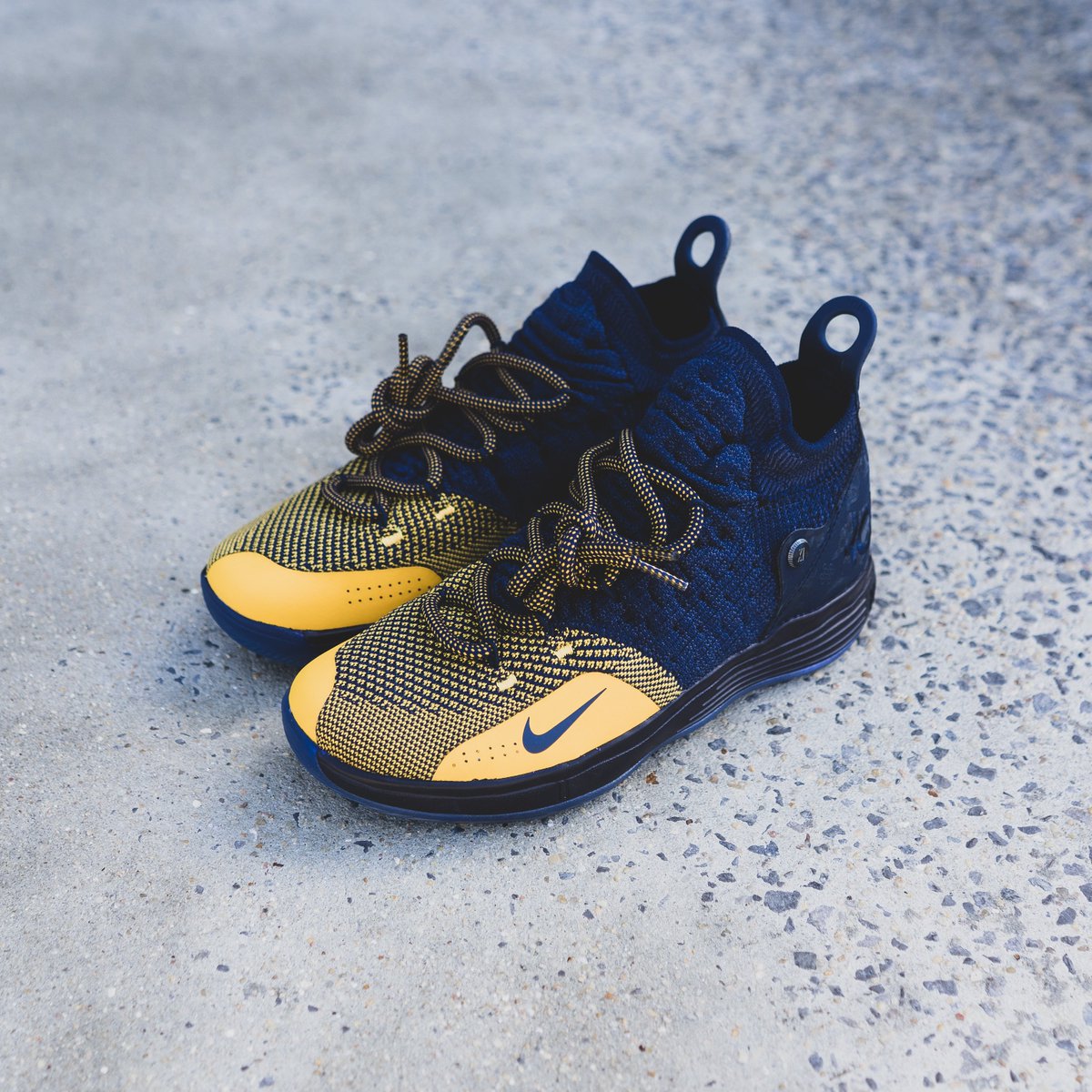 kd 11 hibbett sports