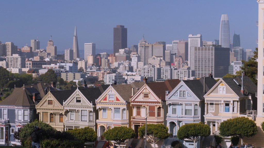 motionplaces's tweet photo. Painted Ladies, San Francisco

#sanfrancisco #sanfran #paintedladies #landmark #california  #motionplaces #travel #royaltyfree #cinematic #contentcreator #videoproduction #4k #stockfootage https://t.co/mh6zlxLVJe