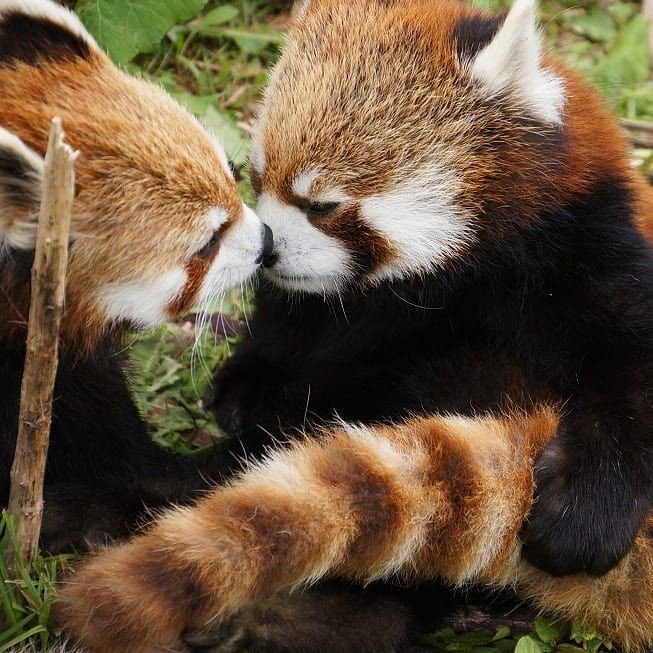 When @UtsukushiSkies still comes to cheer me up a little