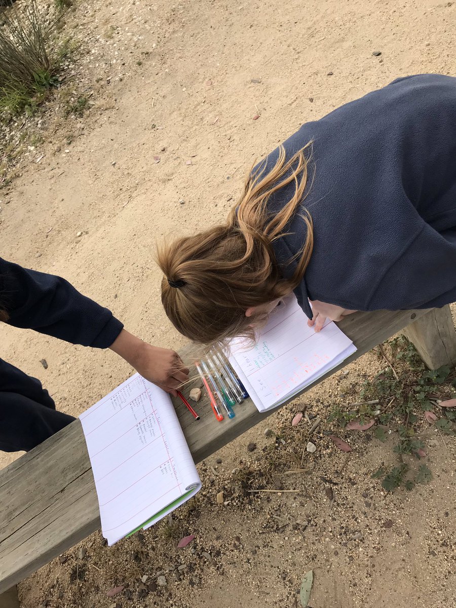 Ms_Anderson_4B's tweet photo. 4B investigating at the pond using our senses to write a descriptive poem. @AitkenCreekPS  @MissB_ACPS thanks for the inspiration! https://t.co/m55Frl7cmz