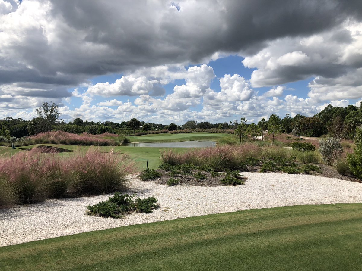 JSchmenk's tweet photo. The #HarmonCourse at the Floridian looking very nice thanks to the work of @floridiansup and staff. The Stratocumulus clouds and blooming Muhley Grass provide a neat contrast to the golf features. Love the pin placements today!
Photo credit: @floridiansup https://t.co/L6f5TppqYY