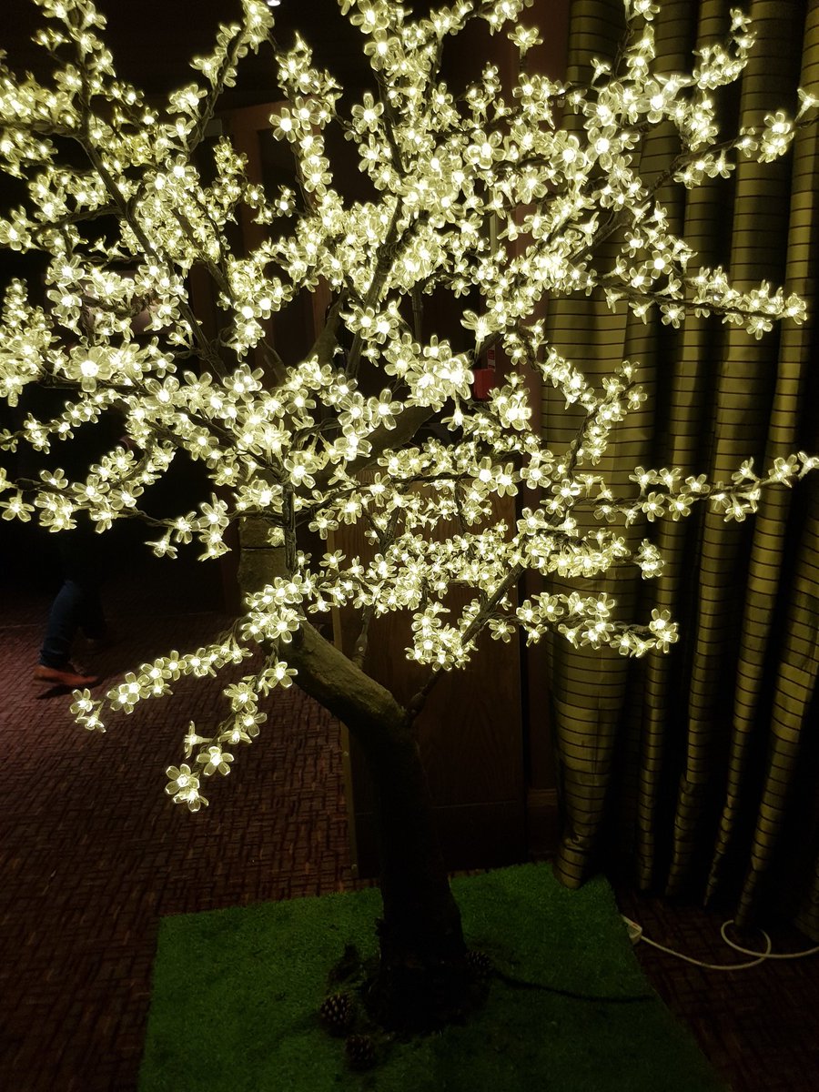 scotsunstyle's tweet image. The @DTHGlasWesterw relaunched in style tonight with the brillaint @ClanadoniaBand and @stephaniecheape. Wonderful new look and excellent evening #newcookieintown #ScotlandIsNow q