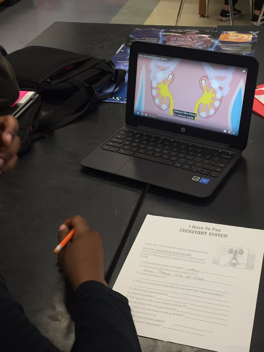KNguyenScience's tweet photo. Todayโs 7th Grade Science stations covered the Digestive and Excretory Systems... #EnzymeLab #SaltineCrackers #ExcretorySystem #DigestiveSystem #MiddleSchoolScience #KidsHealth https://t.co/R8BsXh3No0