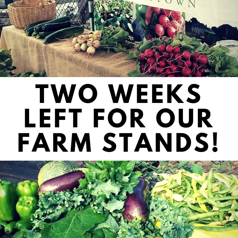 GIGMotown's tweet photo. Remaining Days for our Farm Stands - https://t.co/sahyiUUsrx https://t.co/2UFl1ENbLT