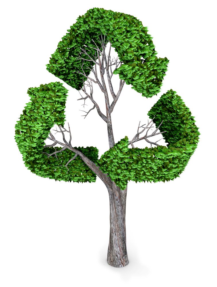 WILMOTMOD's tweet image. Modular Buildings are leading in the &quot;reduce, reuse, recycle&apos;  fleet. Being built with sustainable materials and recycled for new beginnings are a few of the tactics we are bringing to our work. hubs.ly/H0f9h-N0  #WeHelpBuildVisions