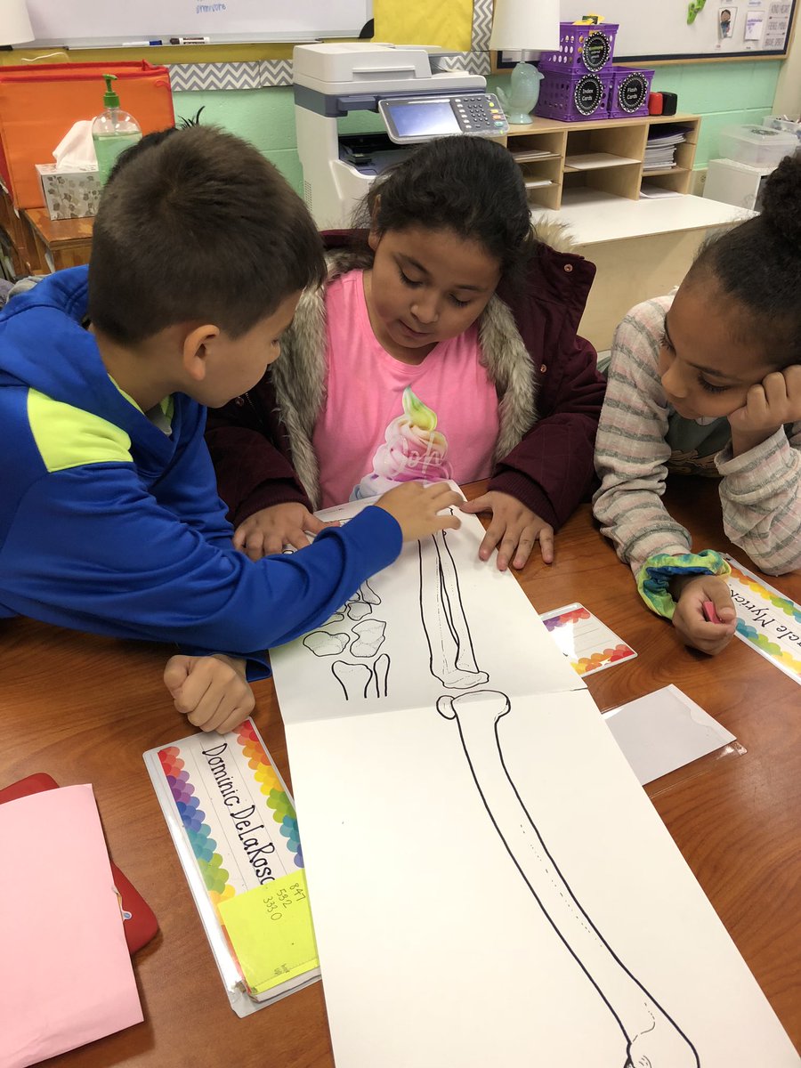 MrsHCampbell16's tweet image. Trying to figure out how many bones are in the human body! #ThirdGradeScientists #HumanAnatomy