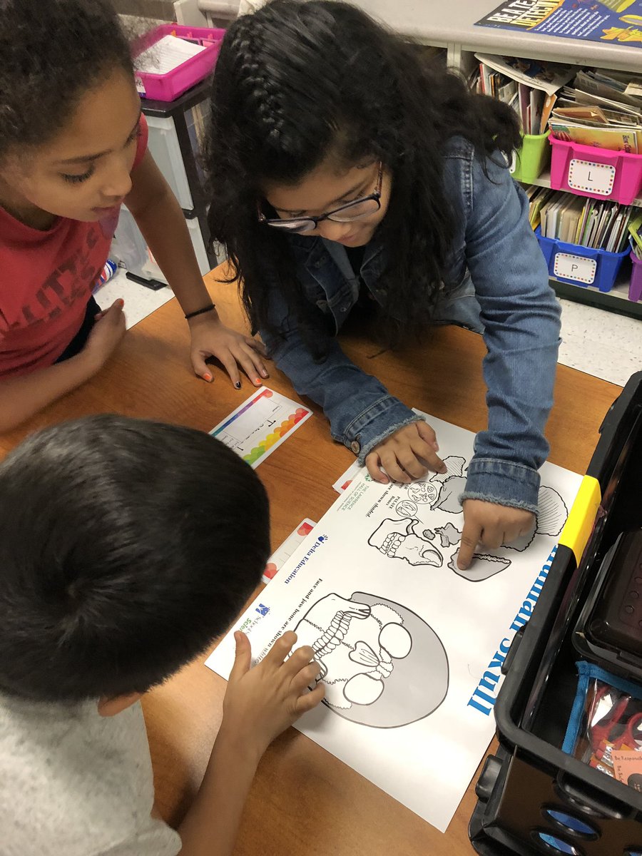 MrsHCampbell16's tweet image. Trying to figure out how many bones are in the human body! #ThirdGradeScientists #HumanAnatomy