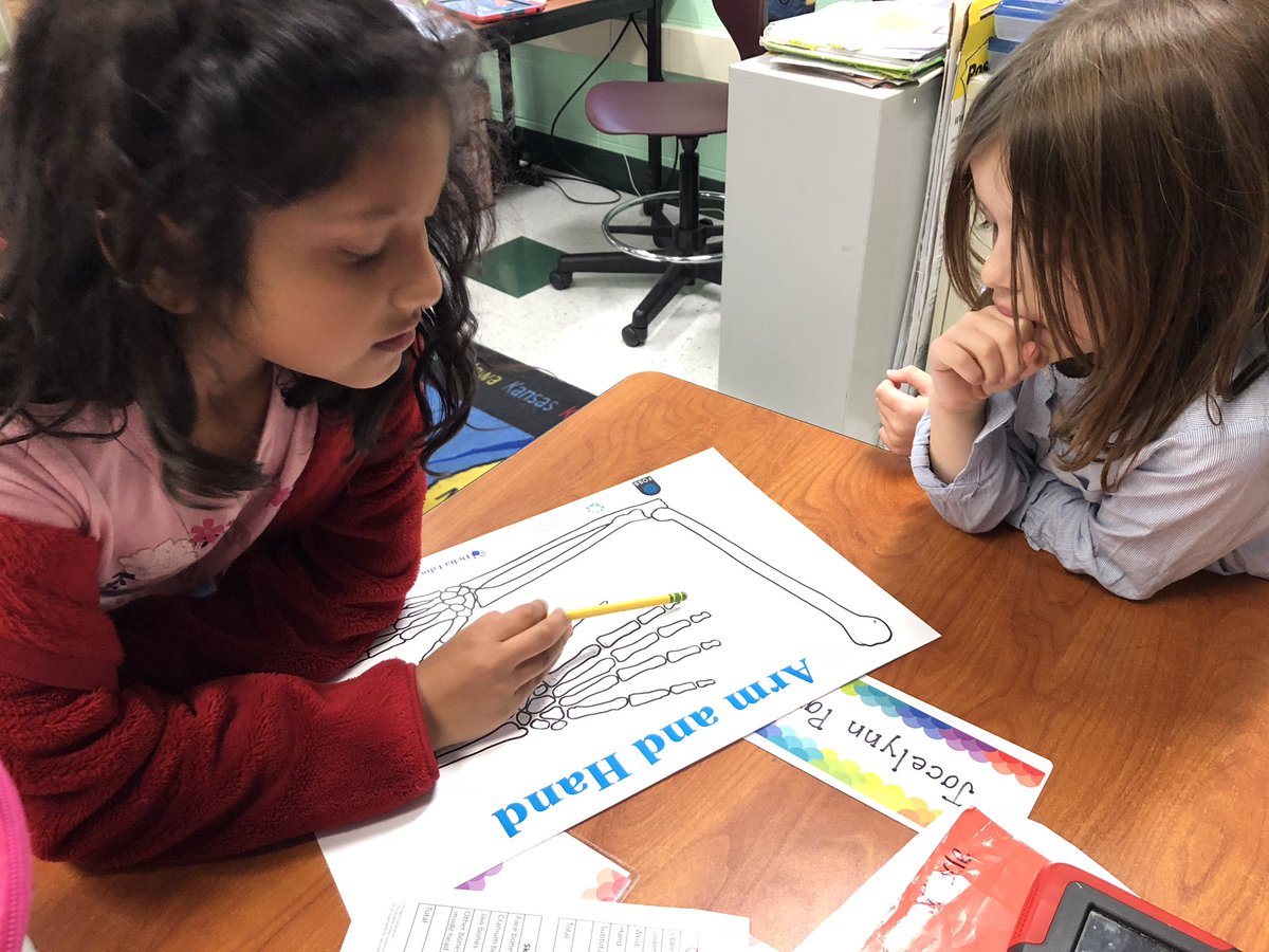 MrsHCampbell16's tweet image. Trying to figure out how many bones are in the human body! #ThirdGradeScientists #HumanAnatomy