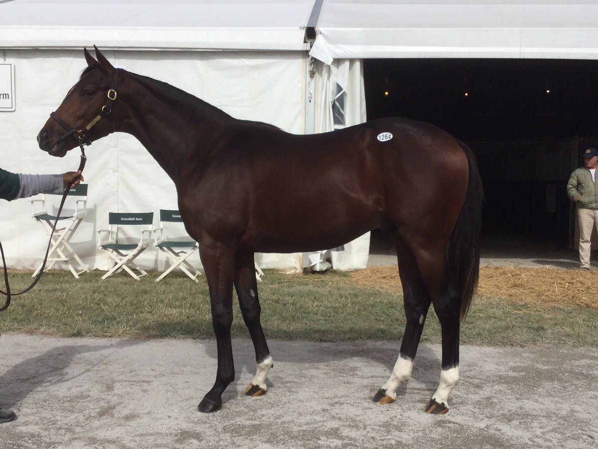 Bourbon Lane Stable (@BourbonLane) | Twitter