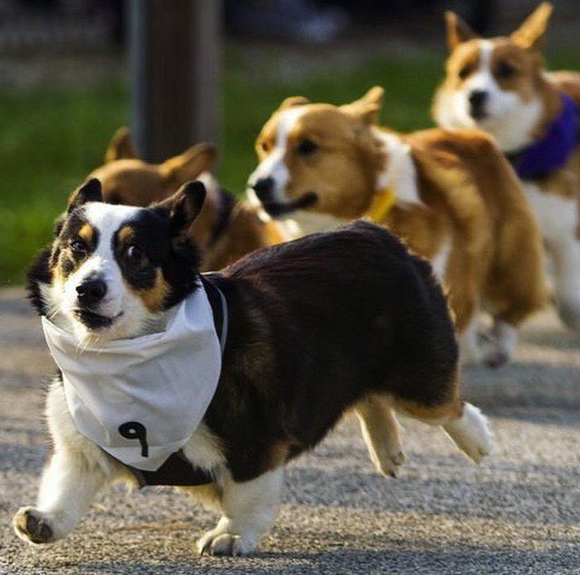 Purdue University On Twitter Need A Race To Hold You Over