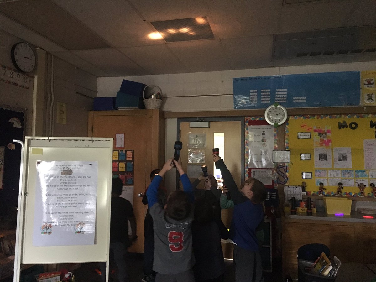 Lisa Sulak tweet media