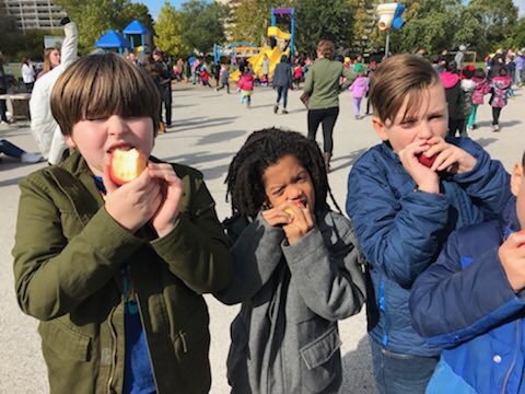 Mrs_Bond123's tweet photo. Great Big Crunch! #anappleaday #HaltonFFT #greatbigcrunch @TecumsehHDSB https://t.co/NSh1IKMQei