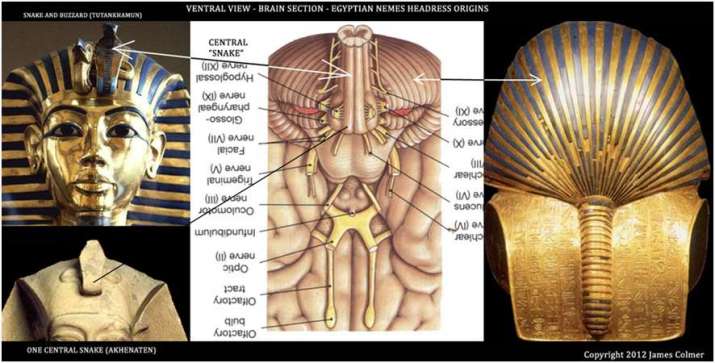 Ida> Pingala>  #Sushumna>  #Sahasrara