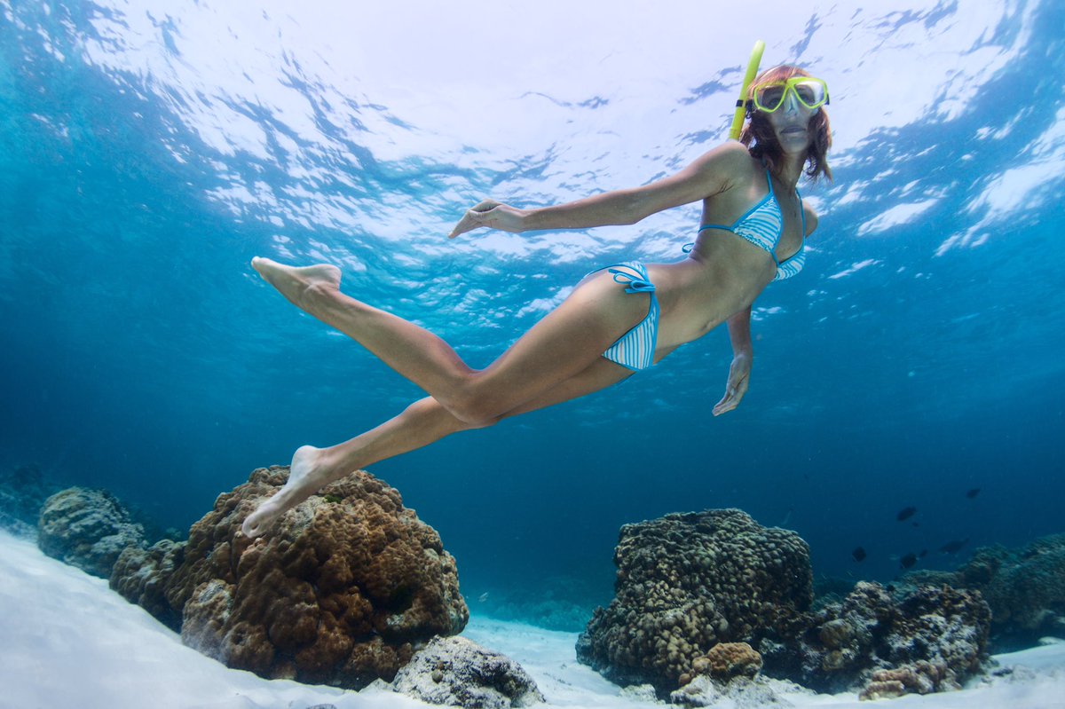 GrayLine_Mexico's tweet photo. Surprise yourself with Mexico´s biodiversity and snorkel into the turquoise waters of the Mexican Caribbean surrounded by exotic marine life, coral and colorful fish while you enjoy the best sandy beach around! #mexico #travel #explore #grayline #scuba #snorkel #tour #visitmexico https://t.co/uDsOFDy7sG