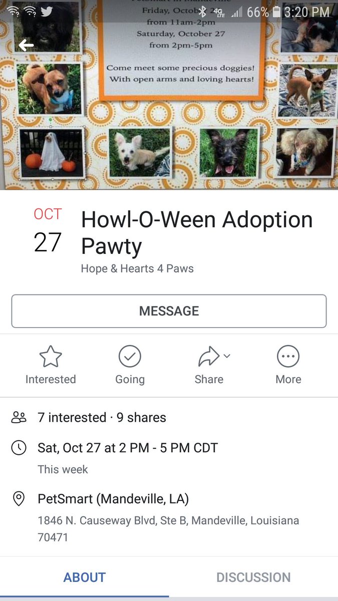 PetSmart Mandeville tweet media