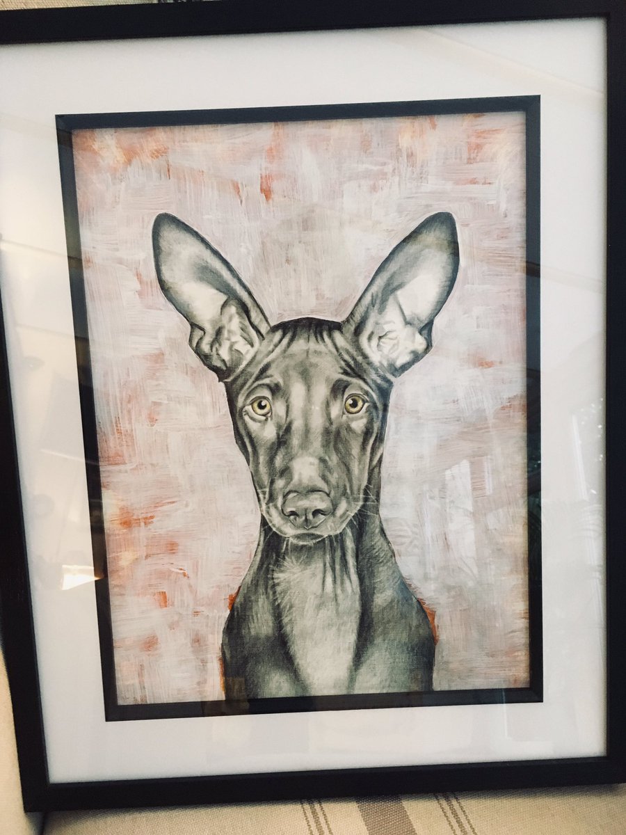One of a collection of doggy portraits on display currently at Humphrys Highams Park. #chritmasgiftsfordoglovers #dogportraits #