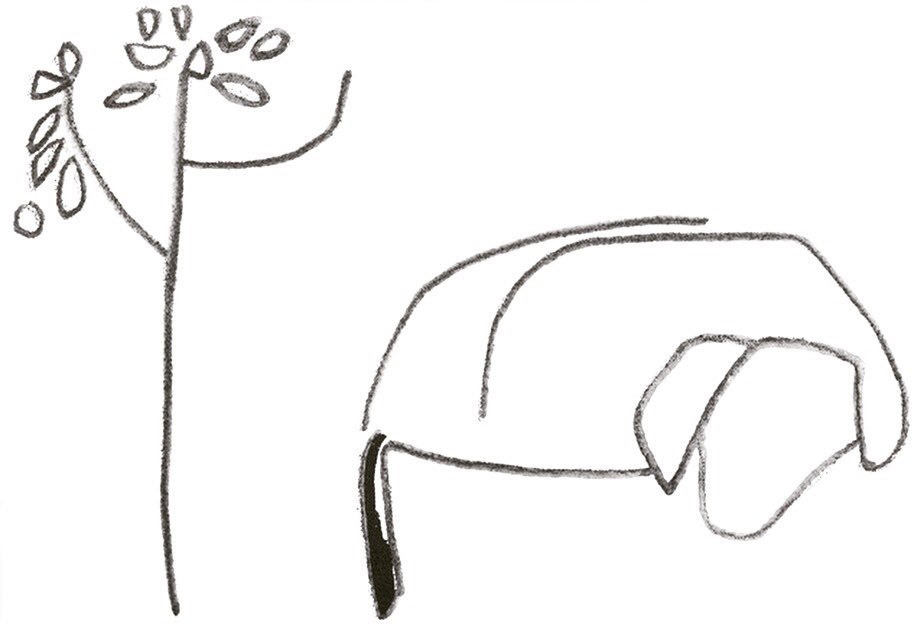 resting under the cork tree