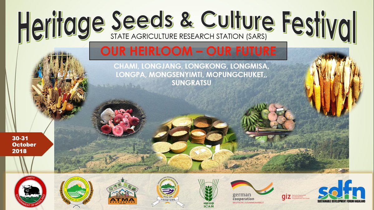 ambajamir's tweet photo. #HeritageSeeds are our #heirloom and our #future. These have sustained our #ancestors and feed us now. #MoneyCannotBuy these if lost. Time to give #life2life and support the revival of our heritage @SovereignFood. Come bless us and be blessed. @WeTheNagas @AgriGoI @FAOKnowledge https://t.co/VMc8KHVdyu