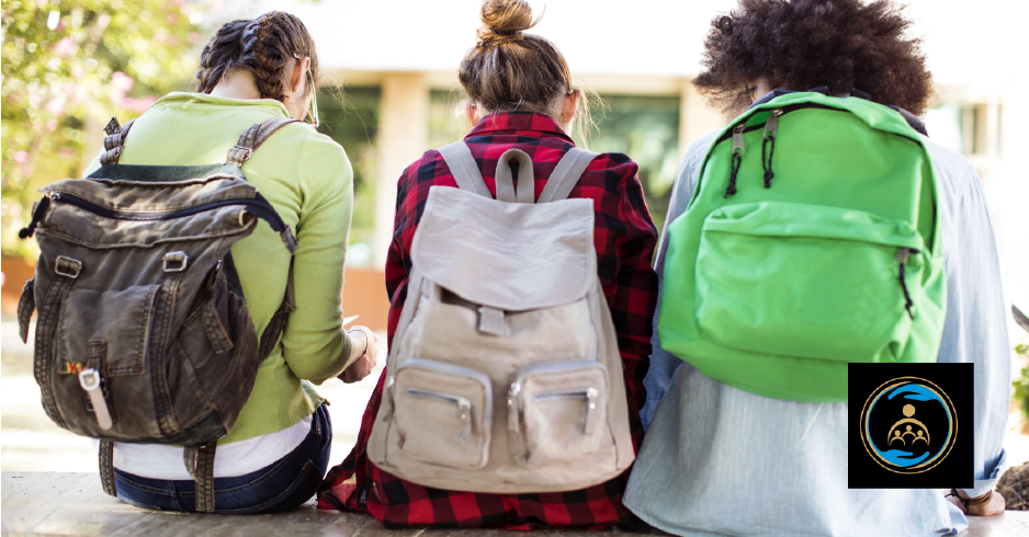 intlSS's tweet photo. Each school day more than one-fifth of the US population is at a school. No other American Institution holds this type of captive population -- our schools should be the safest environment when a natural or man-made disaster occurs. #schoolsafety https://t.co/DT3kKZzsqC https://t.co/QDZpdOUL8H
