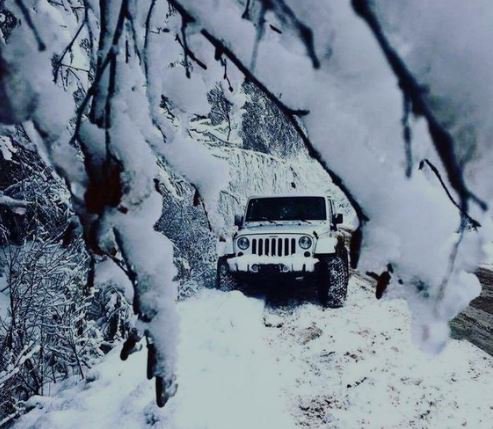 When your girl is trying to play hide and seek. 💁🏻‍♀️😂❄️☃️ #cantwaitforwinter #jeepfun #hideandseek #jeeplove #shejeeps