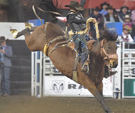 Canadian Finals Rodeo tweet media