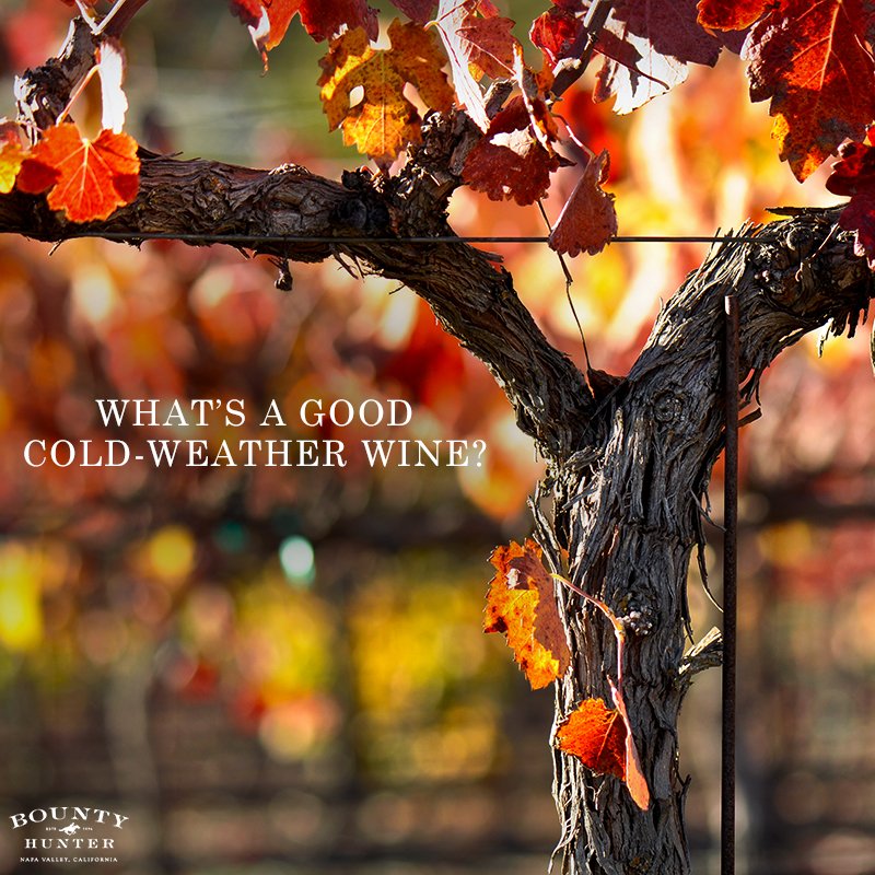 How about a nice Chianti? Sour cherry, spice, and herbaceous flavors will warm you right up and pair beautifully with hot, hearty Italian dishes like lasagna.