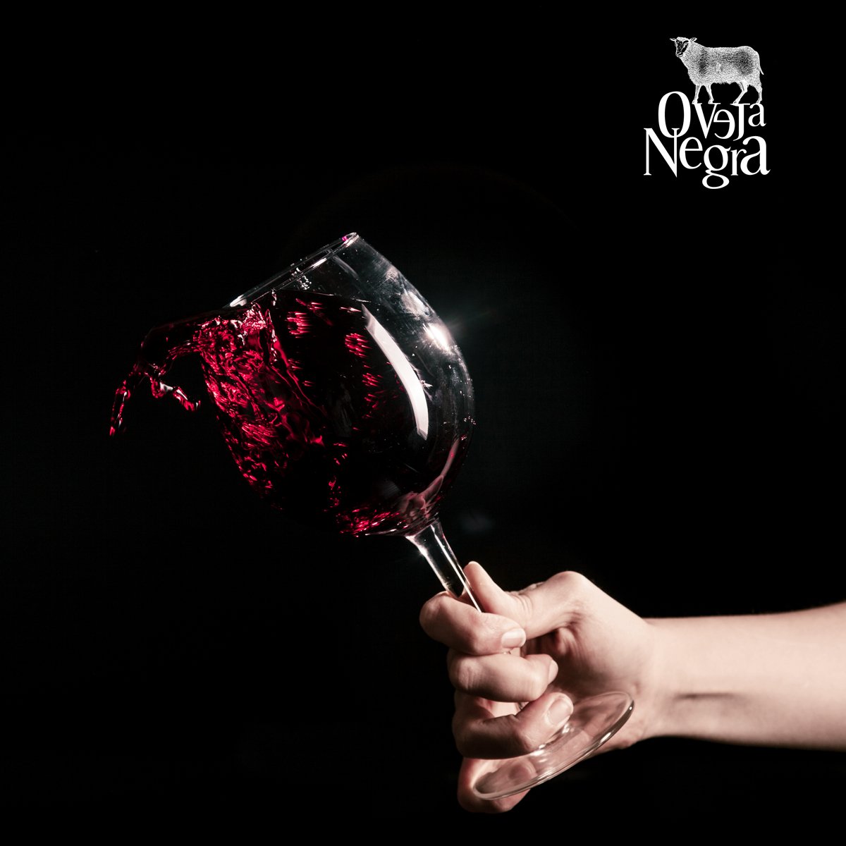 Coméntanos tu blend favorito #VinosOvejaNegra