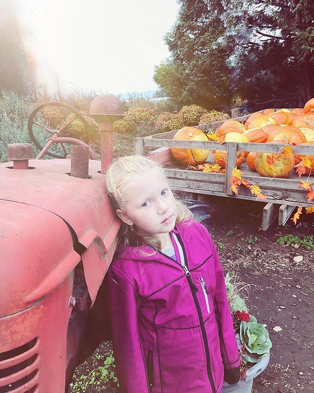 Pumpkins: 🎃we see you🎃. . . #wondermore #happyadventuring #inbeautyandchaos #TavesFarm #TavesApplebarn @tavesfarms #runwildmychild #raiseawildchild #takeyourkidseverywhere #kidsoftheoutdoors #kidsfromcanada #lifeandlensblog #petitejoys #candidchildhood #c…