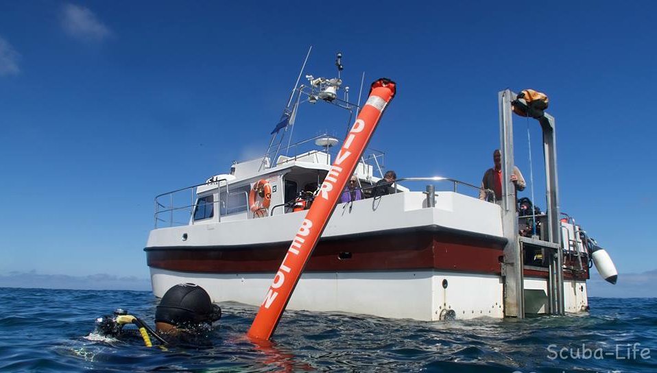 divestay's tweet image. mailchi.mp/499ae20e9f86/m…