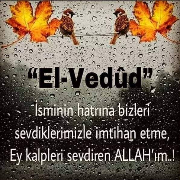 sukutu_edep's tweet photo. Biterken bir gün daha ,
#Duâ edelim usulca..
''Acı nereye dokunuyorsa ''
#AMİN'ler oraya...

_________ #HayırLı_nurLu_geceLer.. https://t.co/A7sFMePmkr