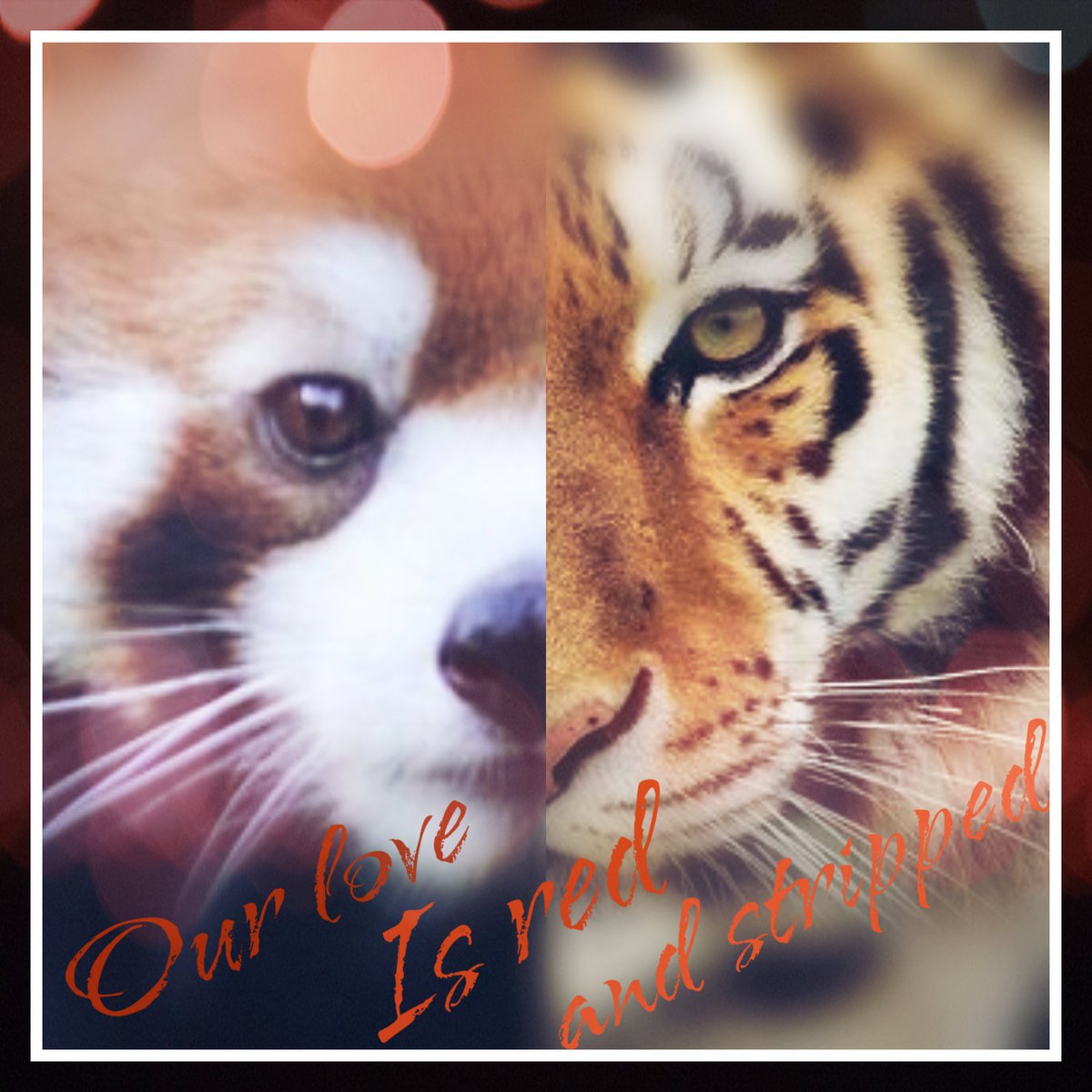 • 𝑇𝘩𝑖𝑠 𝑡𝑦𝑝𝑒 𝑜𝑓 𝑙𝑜𝑣𝑒

          𝑖𝑠𝑛'𝑡 𝑜𝑛𝑙𝑦 𝑟𝑒𝑑 
   
                 𝑏𝑢𝑡 𝑎𝑙𝑠𝑜 𝑠𝑡𝑟𝑖𝑝𝑝𝑒𝑑 •