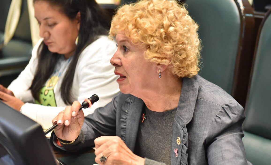 CongresoEdomex's tweet photo. Sobre la #ConsultaNAIM el diputado Julio Alfonso Hernández destaca que la voz del pueblo se hará sonar, mientras que la legisladora @aliciamercadom, también de @GPMorenaEdomex, advierte riesgos hidrológicos en la zona donde se construye el Nuevo Aeropuerto Internacional de México https://t.co/mTyYGMZ5we
