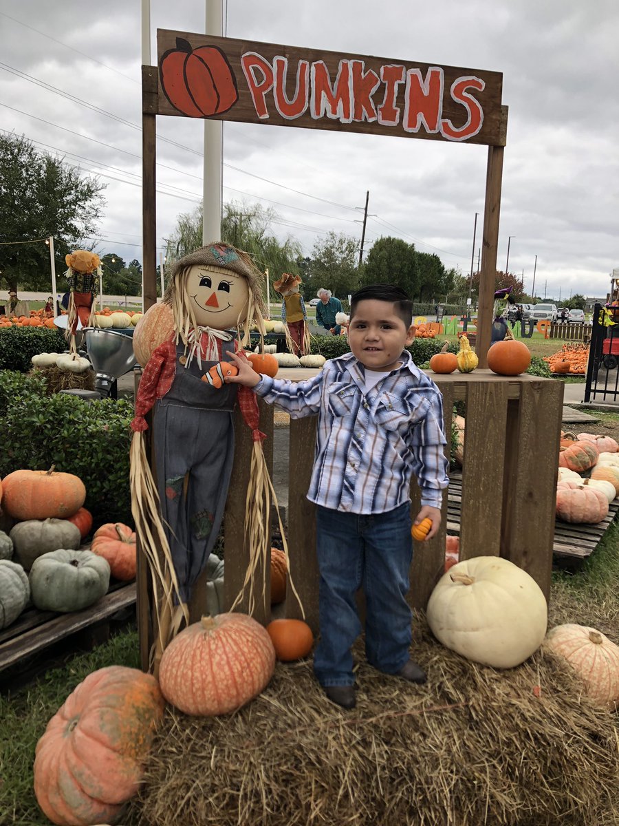adri_bby7's tweet photo. #PumpkinPatch2018 🎃😍 https://t.co/mw5dsFZENP